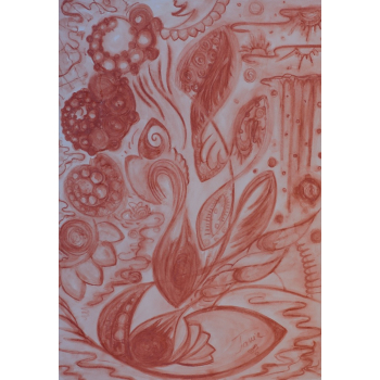 Experiențe din tărâmurile apropiate 1