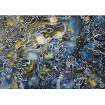 Noaptea Maeștrilor 1