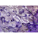 Noaptea Maeștrilor 2